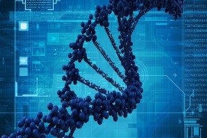 The epigenome can turn genes in DNA on or off. (iStockphoto: cosmin4000 )